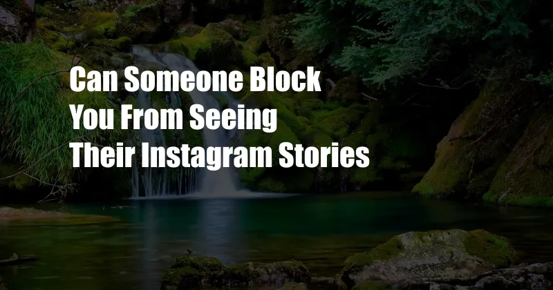Can Someone Block You From Seeing Their Instagram Stories