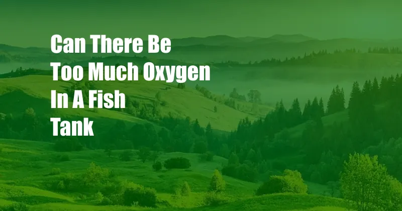 Can There Be Too Much Oxygen In A Fish Tank