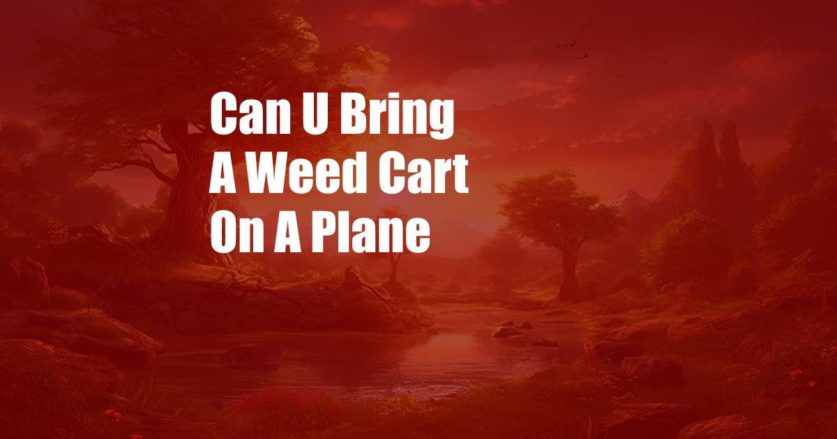 Can U Bring A Weed Cart On A Plane