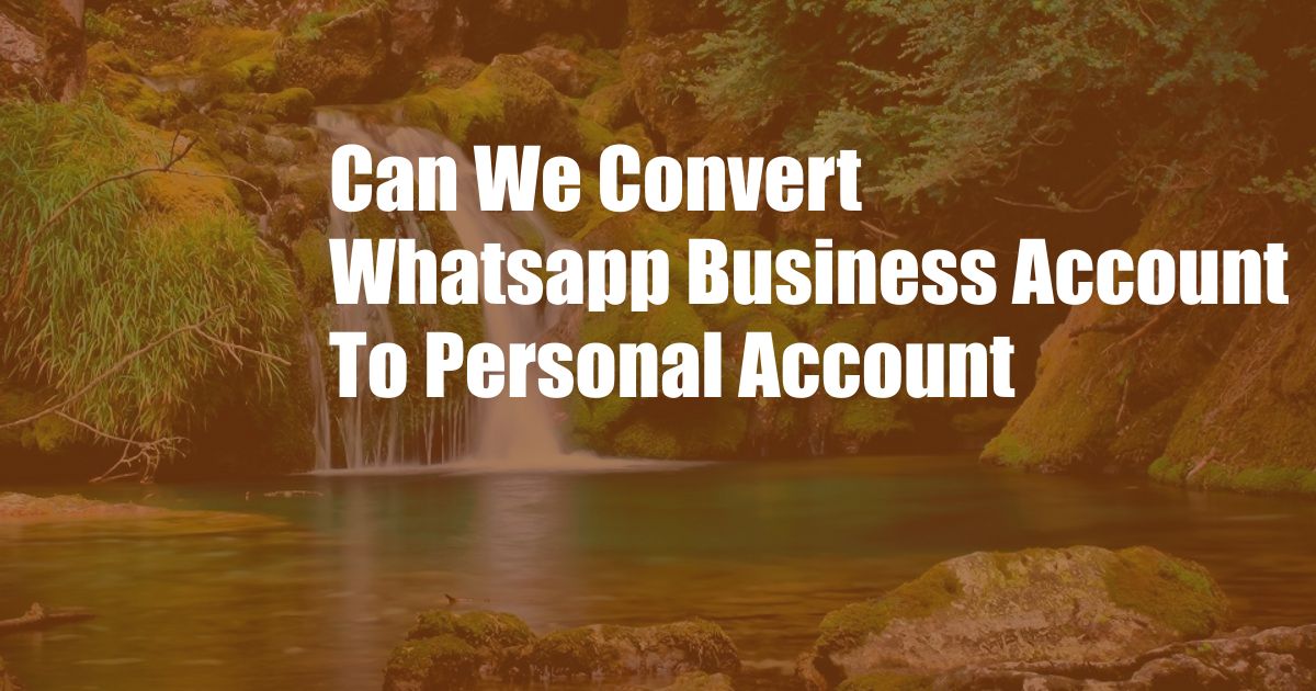 Can We Convert Whatsapp Business Account To Personal Account