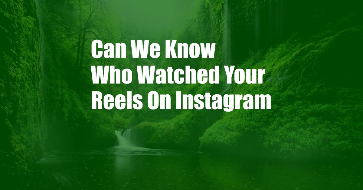 Can We Know Who Watched Your Reels On Instagram