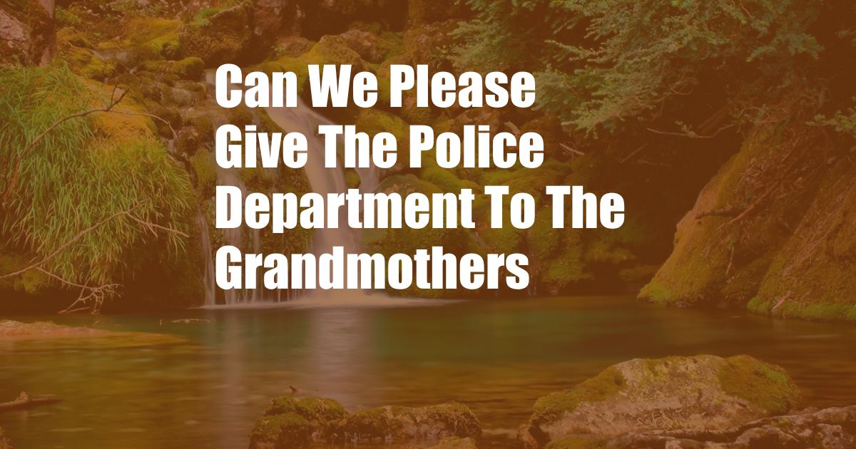 Can We Please Give The Police Department To The Grandmothers