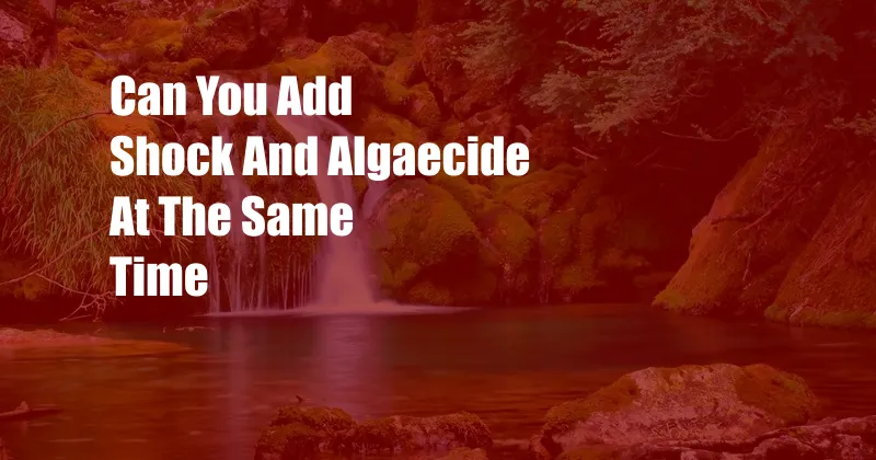 Can You Add Shock And Algaecide At The Same Time