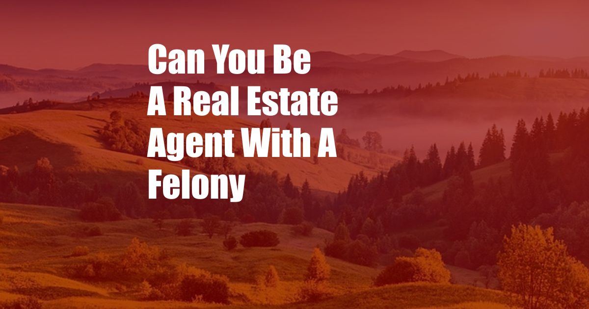 Can You Be A Real Estate Agent With A Felony