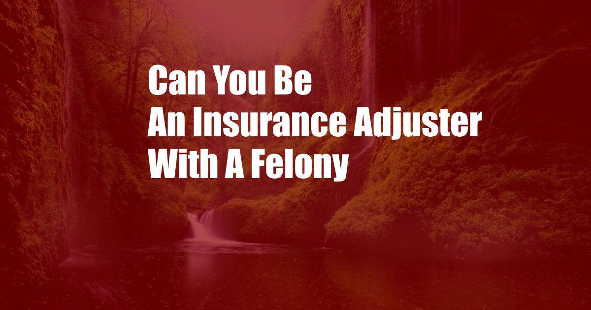 Can You Be An Insurance Adjuster With A Felony