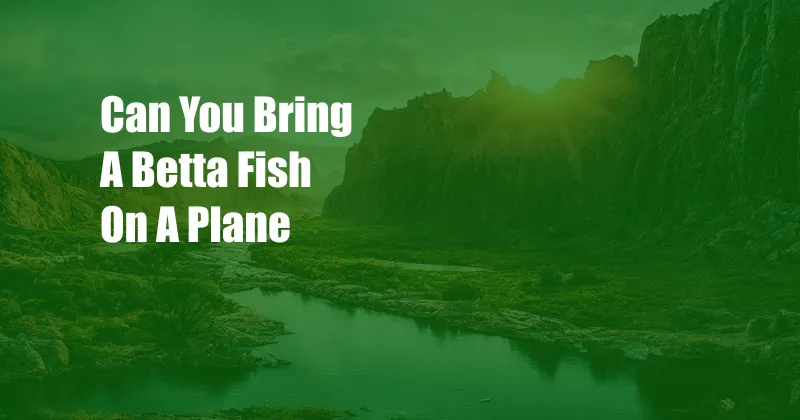 Can You Bring A Betta Fish On A Plane