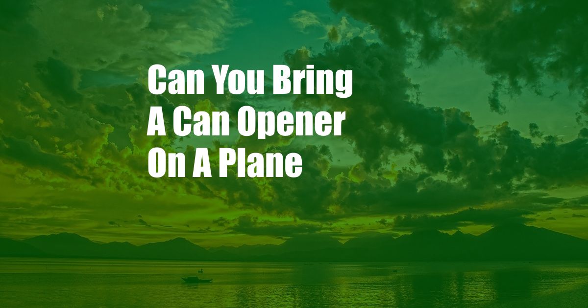 Can You Bring A Can Opener On A Plane