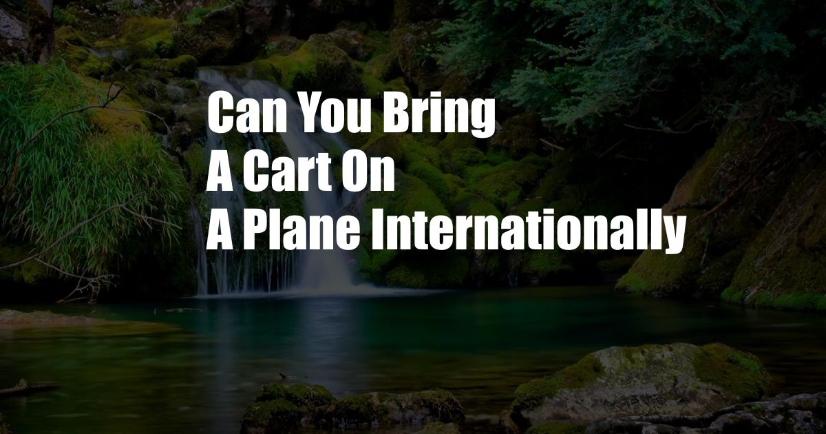 Can You Bring A Cart On A Plane Internationally