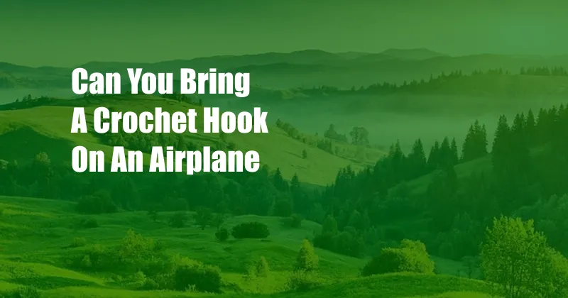 Can You Bring A Crochet Hook On An Airplane