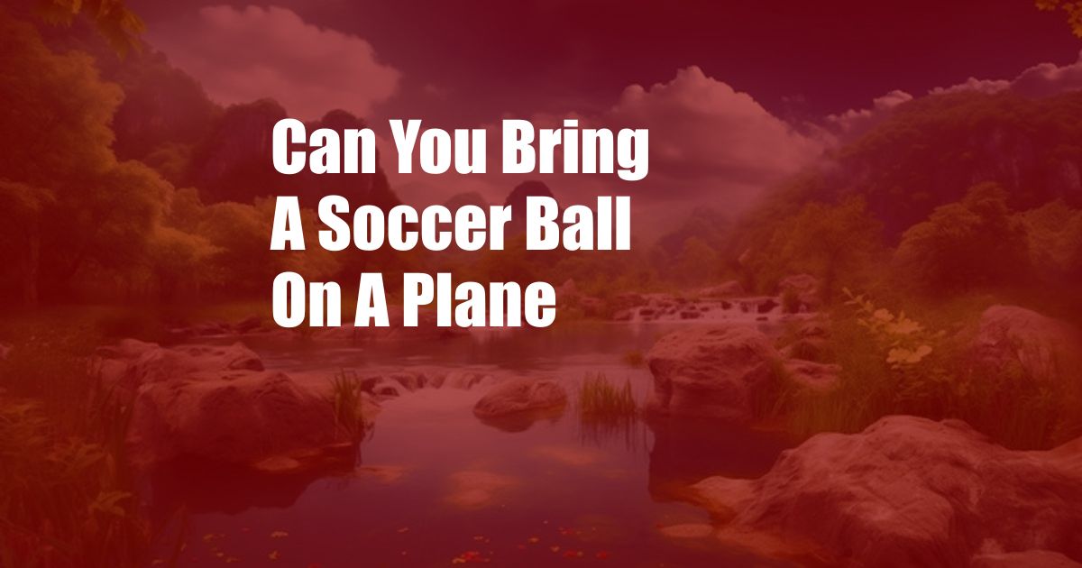 Can You Bring A Soccer Ball On A Plane