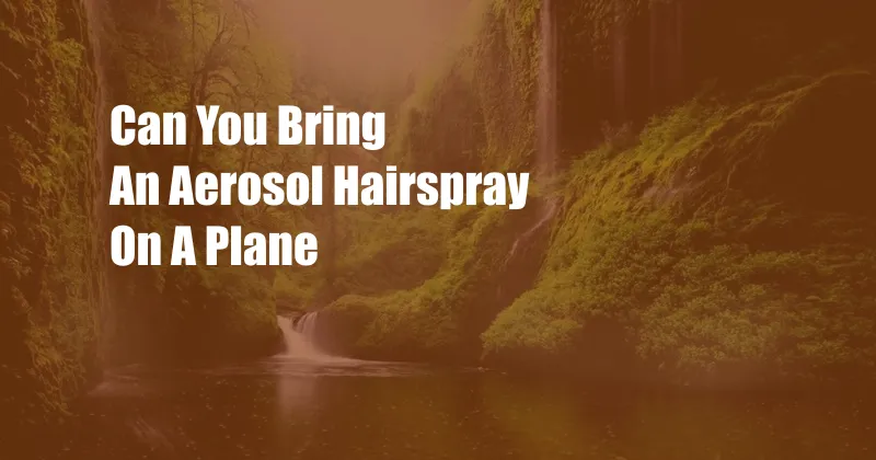 Can You Bring An Aerosol Hairspray On A Plane