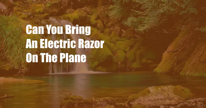 Can You Bring An Electric Razor On The Plane