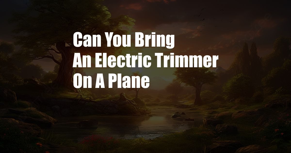 Can You Bring An Electric Trimmer On A Plane