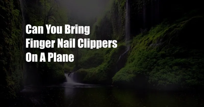 Can You Bring Finger Nail Clippers On A Plane