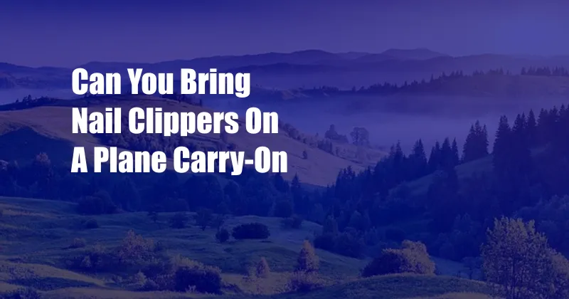 Can You Bring Nail Clippers On A Plane Carry-On