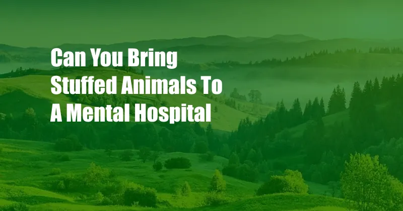 Can You Bring Stuffed Animals To A Mental Hospital