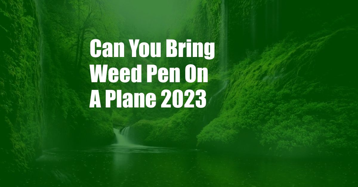 Can You Bring Weed Pen On A Plane 2023