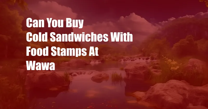 Can You Buy Cold Sandwiches With Food Stamps At Wawa
