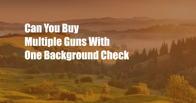 Can You Buy Multiple Guns With One Background Check