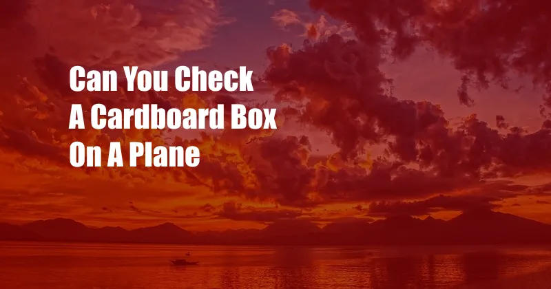 Can You Check A Cardboard Box On A Plane