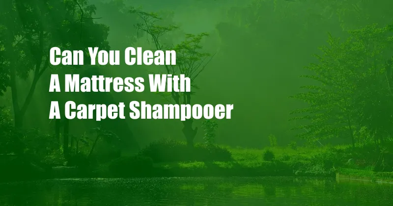 Can You Clean A Mattress With A Carpet Shampooer