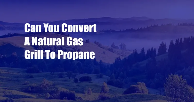 Can You Convert A Natural Gas Grill To Propane