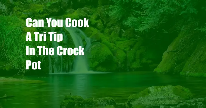 Can You Cook A Tri Tip In The Crock Pot