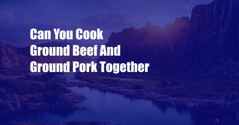 Can You Cook Ground Beef And Ground Pork Together