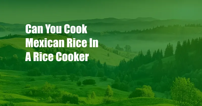 Can You Cook Mexican Rice In A Rice Cooker