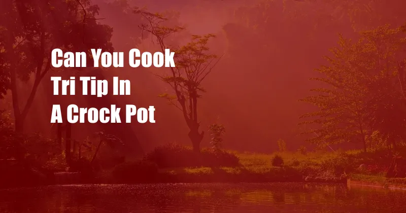 Can You Cook Tri Tip In A Crock Pot