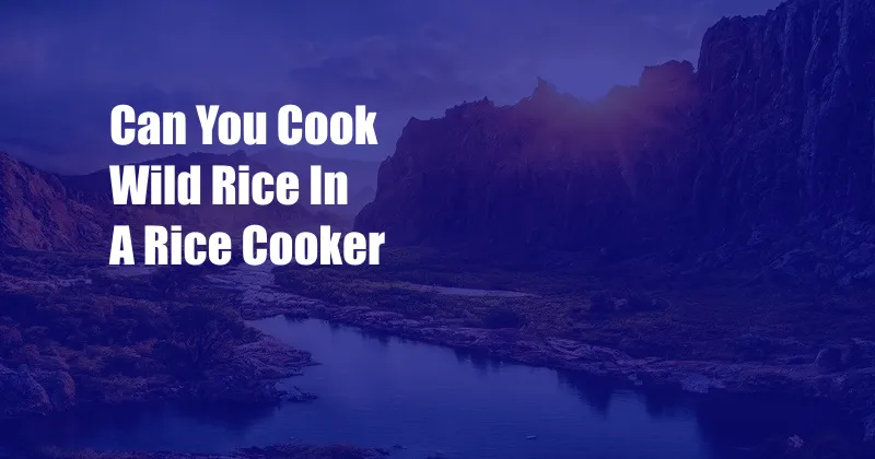 Can You Cook Wild Rice In A Rice Cooker