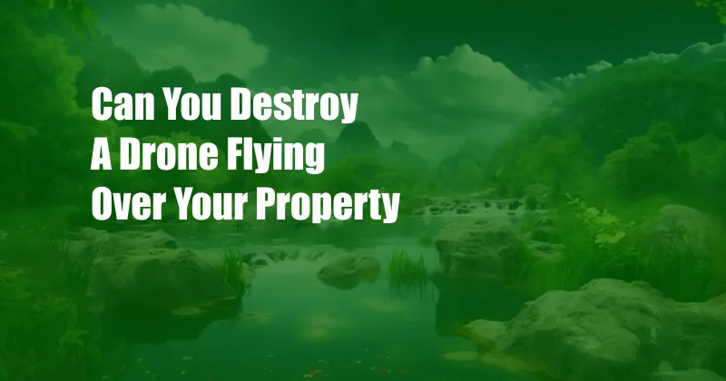 Can You Destroy A Drone Flying Over Your Property