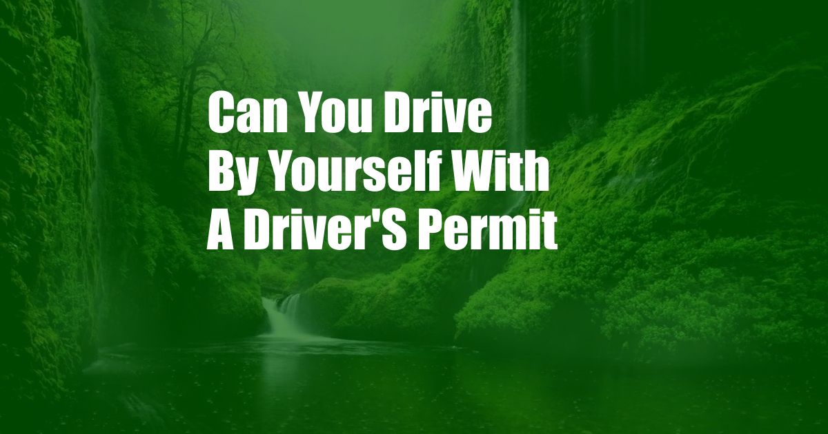 Can You Drive By Yourself With A Driver'S Permit