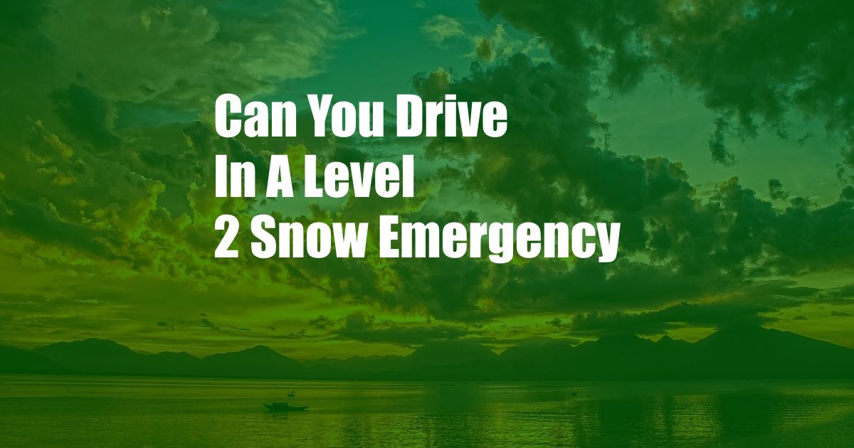 Can You Drive In A Level 2 Snow Emergency