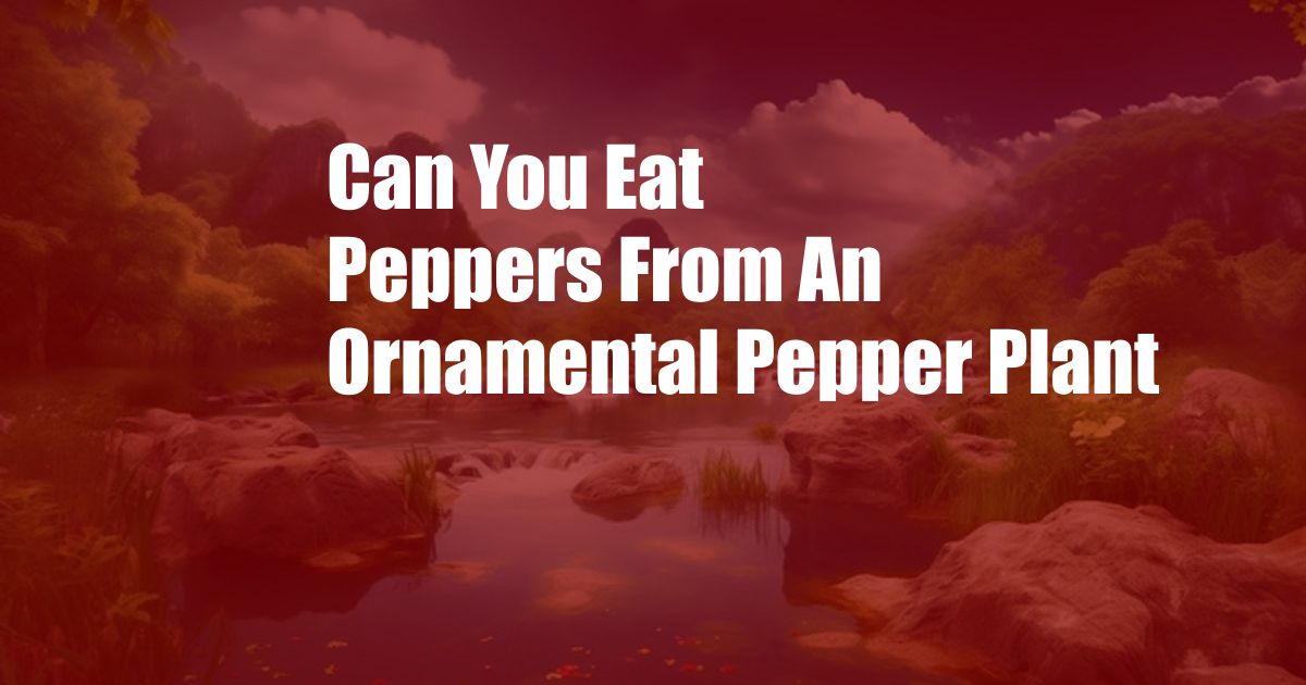Can You Eat Peppers From An Ornamental Pepper Plant