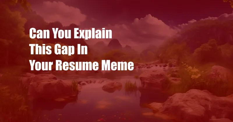 Can You Explain This Gap In Your Resume Meme