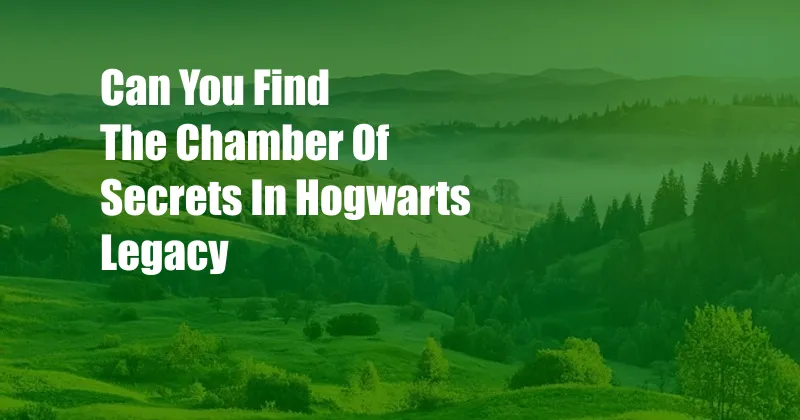 Can You Find The Chamber Of Secrets In Hogwarts Legacy