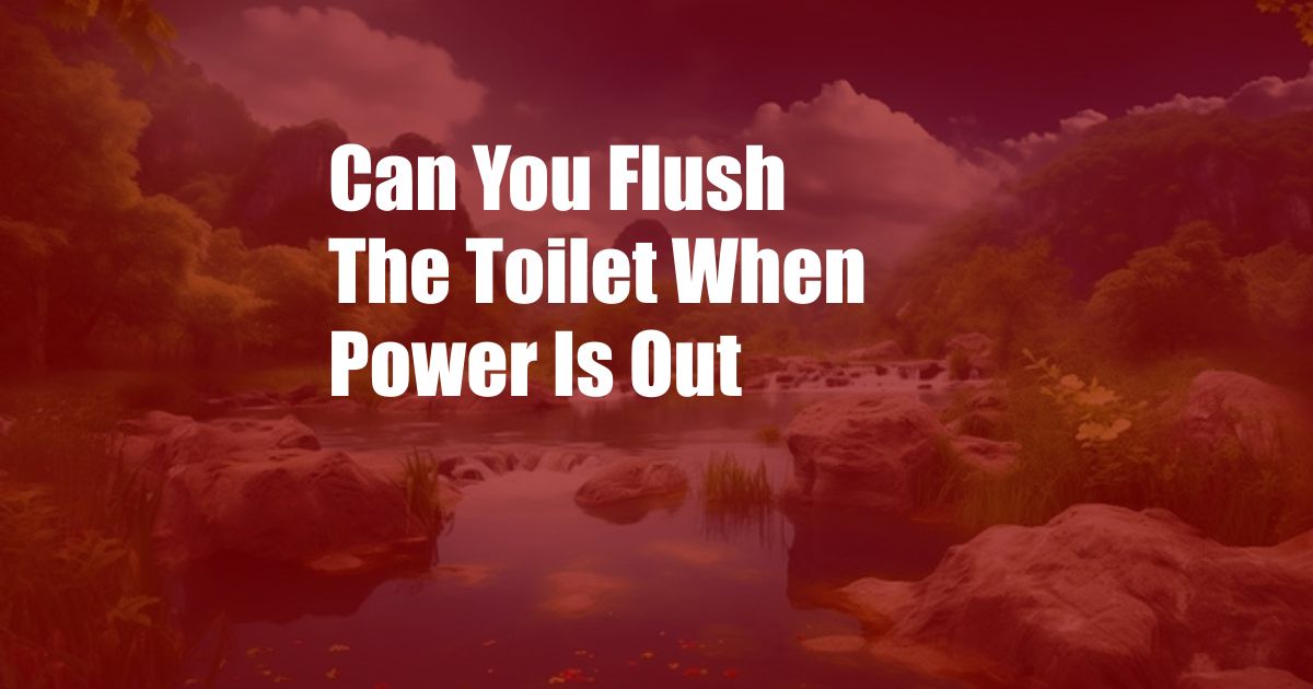 Can You Flush The Toilet When Power Is Out