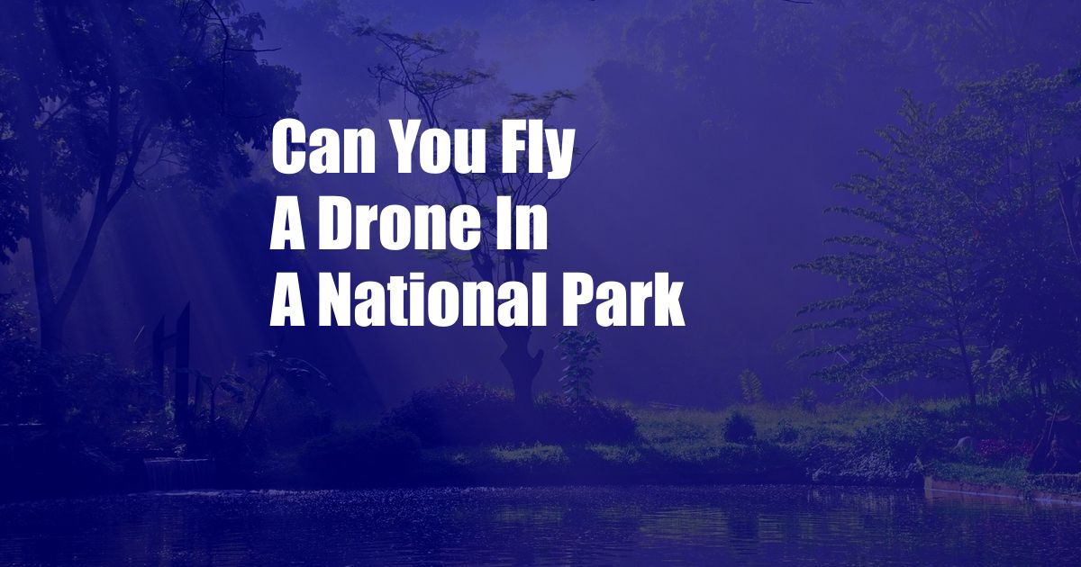 Can You Fly A Drone In A National Park