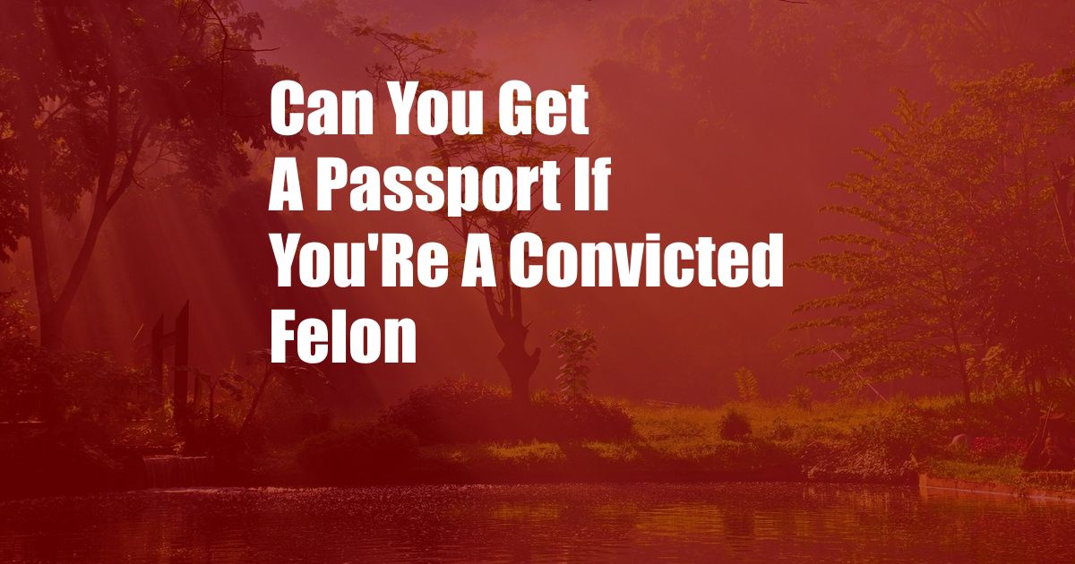 Can You Get A Passport If You'Re A Convicted Felon