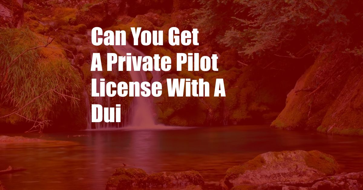Can You Get A Private Pilot License With A Dui
