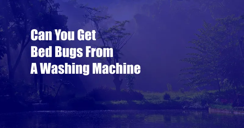 Can You Get Bed Bugs From A Washing Machine