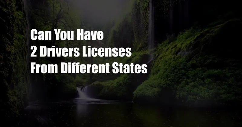 Can You Have 2 Drivers Licenses From Different States