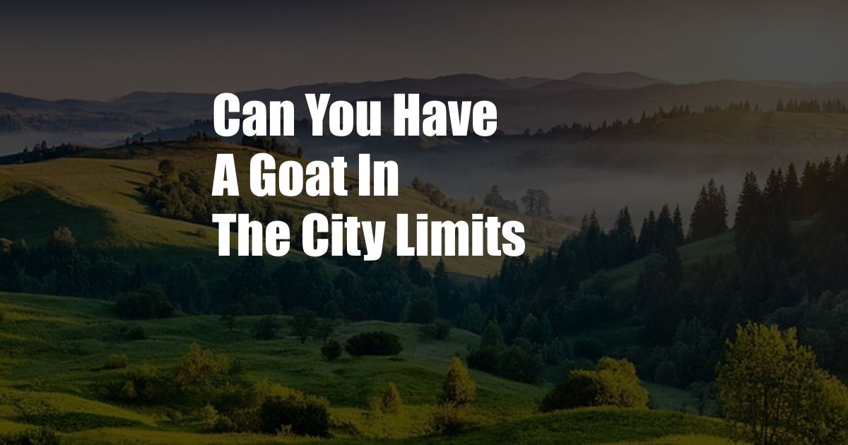 Can You Have A Goat In The City Limits