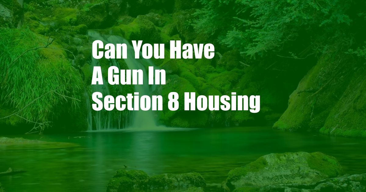 Can You Have A Gun In Section 8 Housing