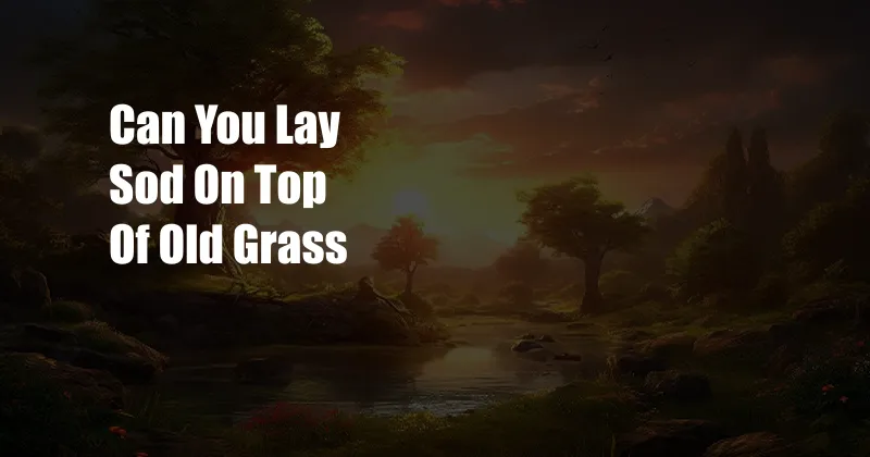 Can You Lay Sod On Top Of Old Grass