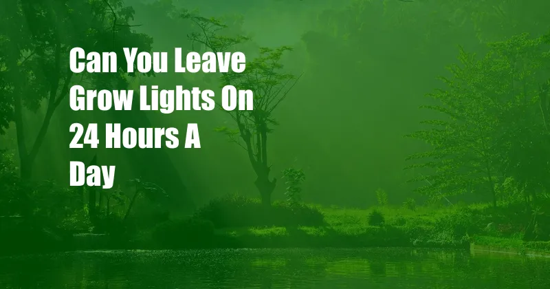 Can You Leave Grow Lights On 24 Hours A Day