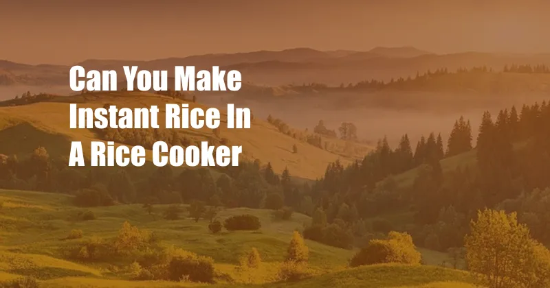 Can You Make Instant Rice In A Rice Cooker