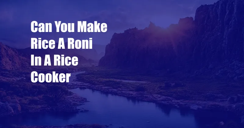 Can You Make Rice A Roni In A Rice Cooker