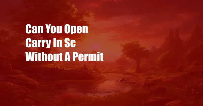 Can You Open Carry In Sc Without A Permit